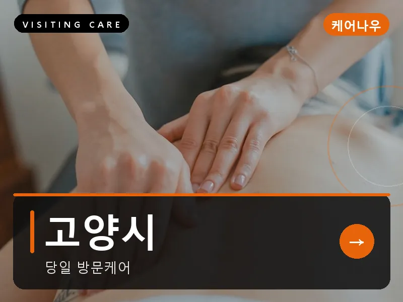 고양시 출장마사지 - 고양 스타케어